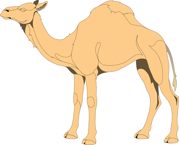Camel Clip Art At Clker Com   Vector Clip Art Online Royalty Free