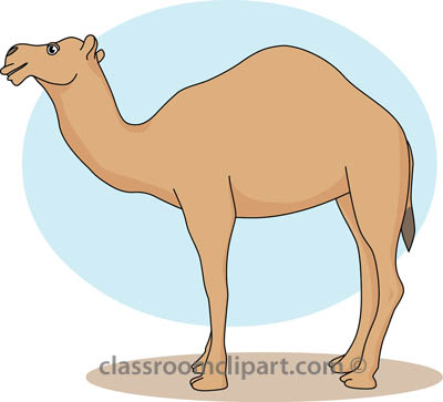 Camel Clipart   Camel 31412 03   Classroom Clipart