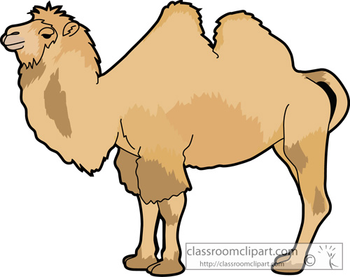 Camel Clipart   Camel 630   Classroom Clipart