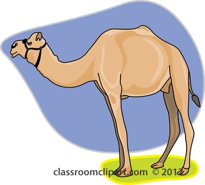 Camel Clipart   Dromedary Camel 212   Classroom Clipart