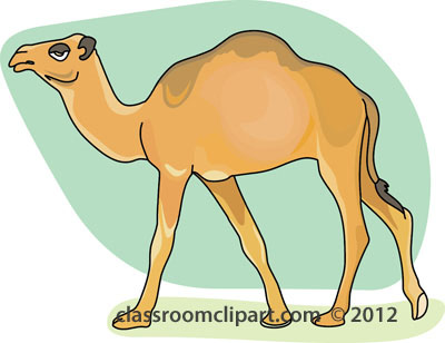 Camel Clipart   Dromedary Camel 3 212   Classroom Clipart