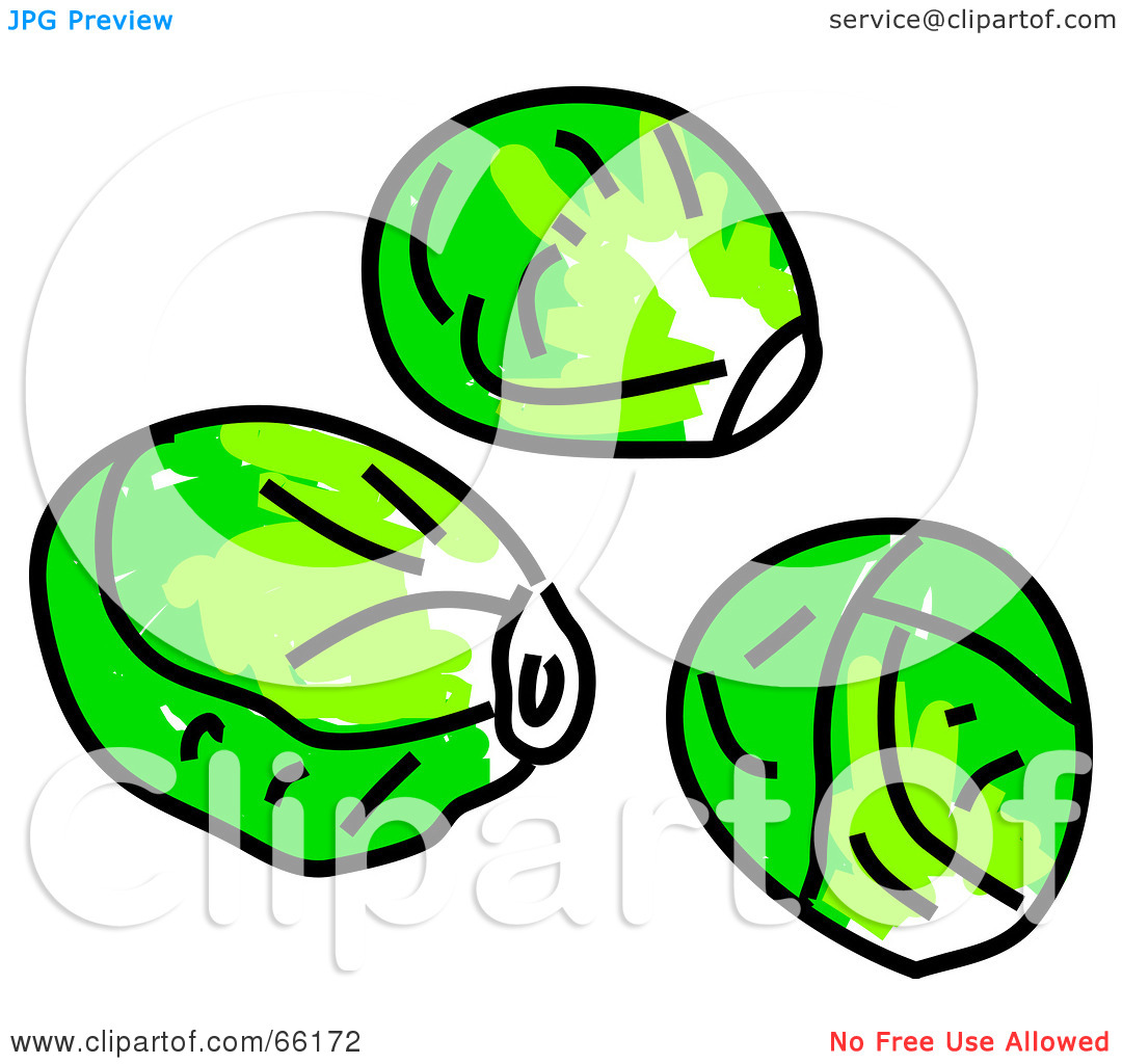Rf  Clipart Illustration Of Three Brussels Sprouts By Prawny  66172