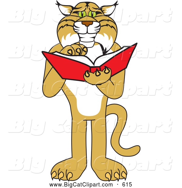 Big Cat Vector Clipart Of A Friendly Bobcat Character Reading By