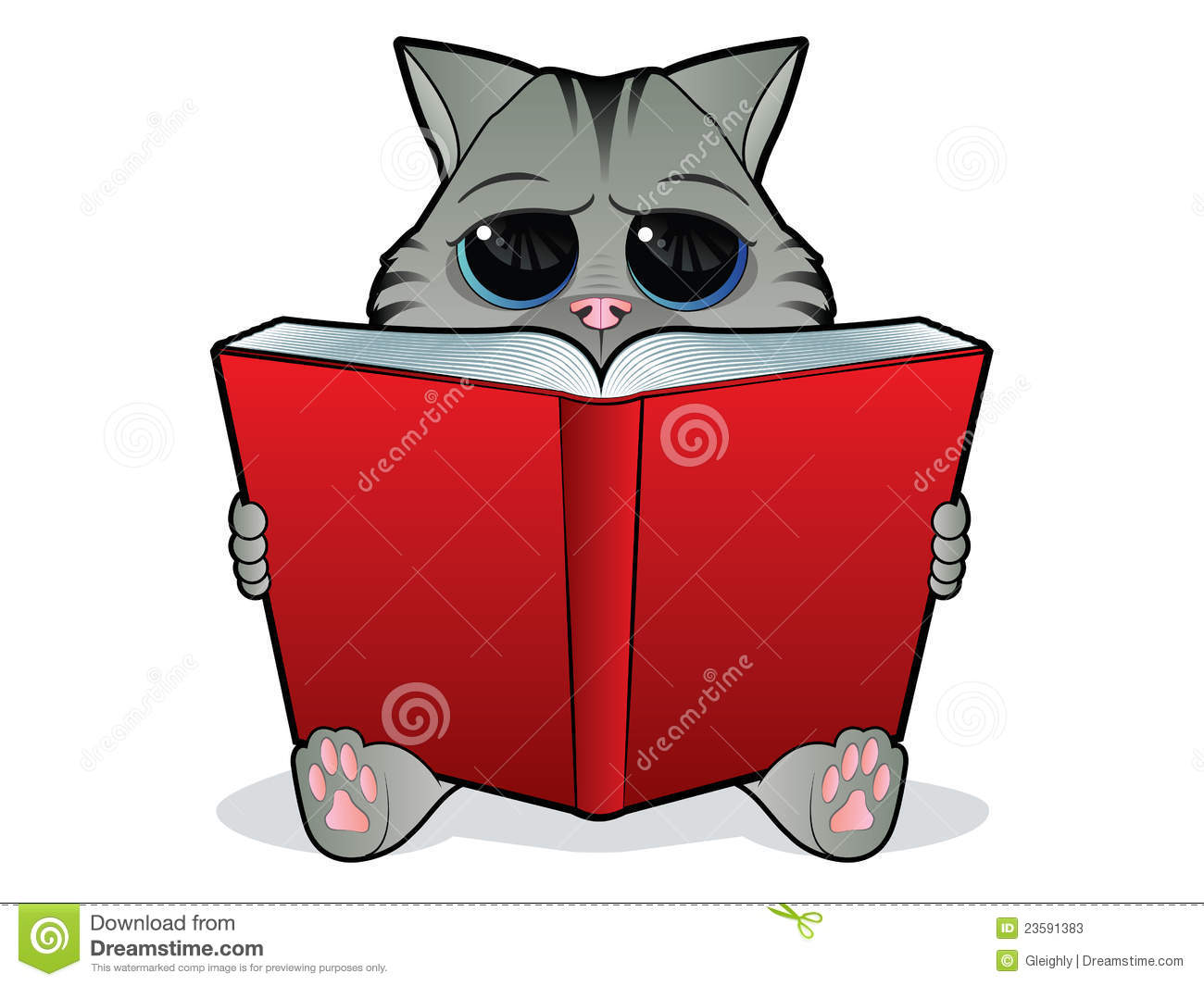 Book Reading Cat Stock Photos   Image  23591383