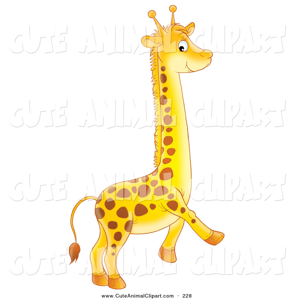       Cute Giraffe Clip Art Baby Giraffe Animals Digital Clipart Baby