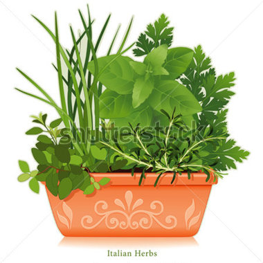 Download Source File Browse   Nature   Vector   Italian Herb Garden    