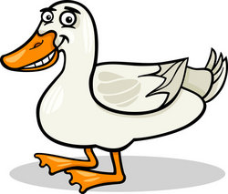 Duck Farm Bird Animal Cartoon Illustration Stock Vector