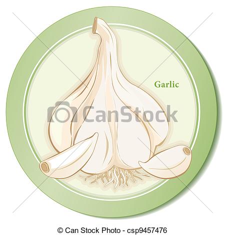 Herb    Csp9457476   Search Clipart Illustration Drawings And Eps
