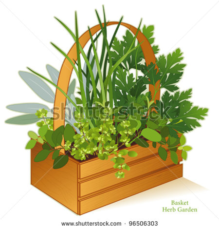     Herb Garden In Wood Basket Planter Cooking Herbs Left Right Clipart