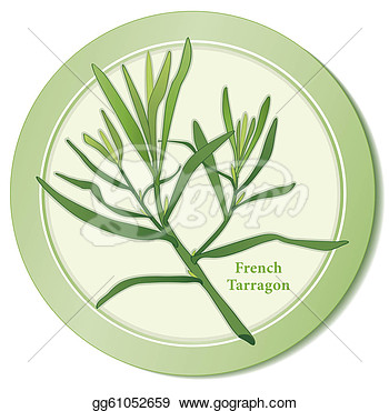 Herb Icon Anise Flavored Leaves Used In Cooking Salads Dressings Herb
