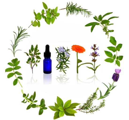 List Of Essential Oils   Organic Facts