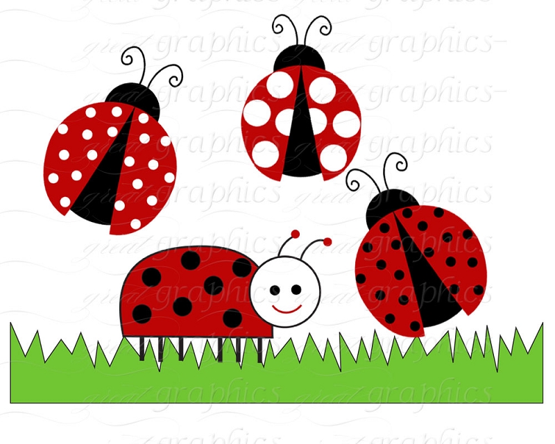 Perfect Ladybug Clip Art 800 X 640   249 Kb   Jpeg