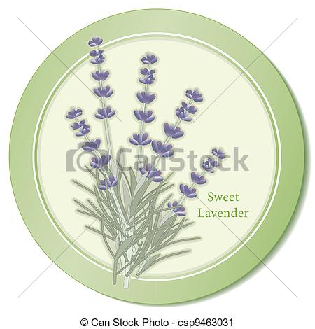 Sweet Lavender Herb Icon Classic Ingredient Of French Cooking Herb