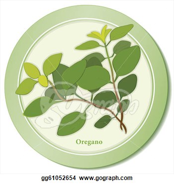 Vector Art   Italian Oregano Herb Icon  Clipart Drawing Gg61052654    