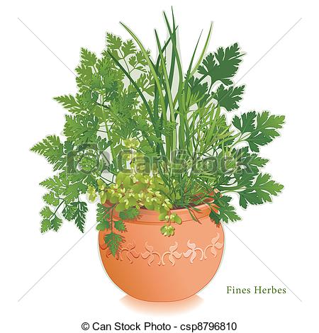 Vector Clipart Of Fine Herbs Garden Clay Flowerpot   Fine Herbs Or