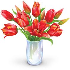 Bouquets   Flower Bouquet Clipart Dozen Tulips Vase Illustration More
