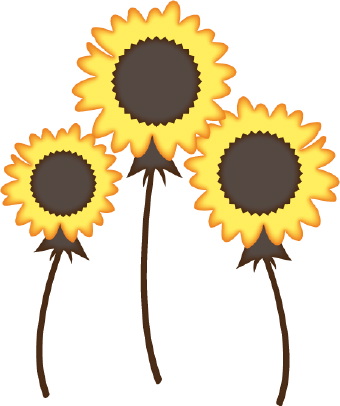 Clip Art Of Three Bright Yellow Sunflowers Following The Sun As It