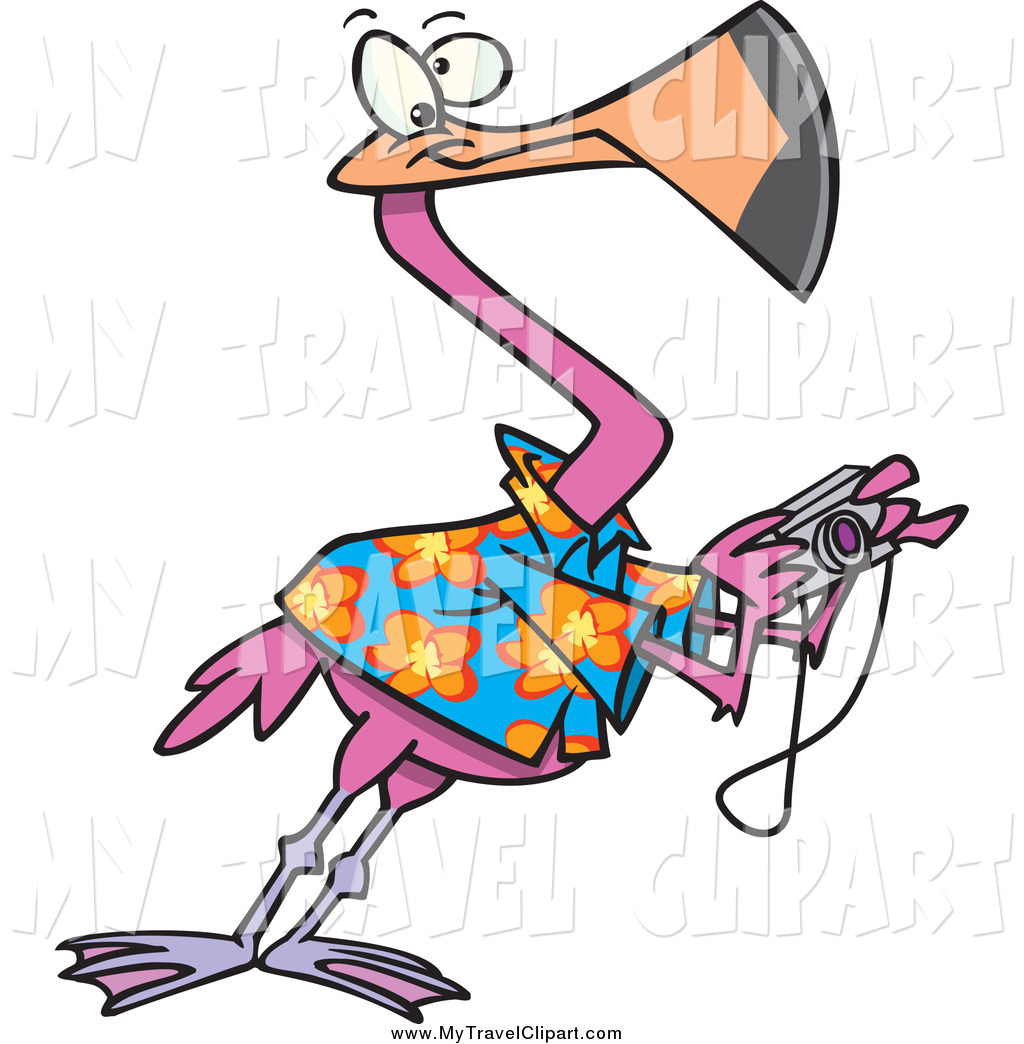 Clipart Of A Tourist Flamingo Taking Pictures By Ron Leishman    4184