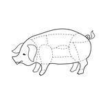 Scheme Pork Carcasses Illustration Of Beef Pork Cuts Chart Cuts