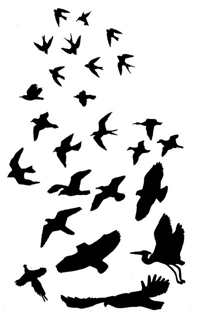 10 Sparrow Silhouette Tattoo   Free Cliparts That You Can Download To