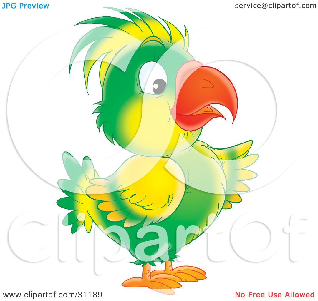 Clipart Illustration Of A Green And Yellow Parrot With A Bright Orange
