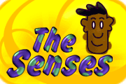 Education World  Ten Activities For Teaching The Five Senses