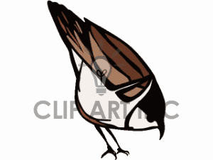 Sparrow Silhouette Clipart   Free Clip Art Images