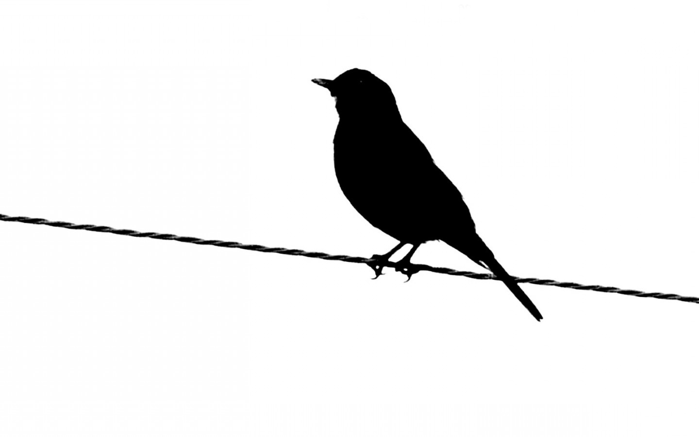 Sparrow Silhouette Free Cliparts That You Can Download To You