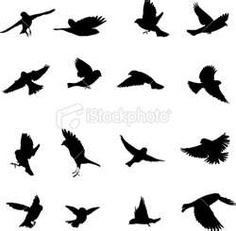 Sparrow Silhouette Tattoo   Clipart Best