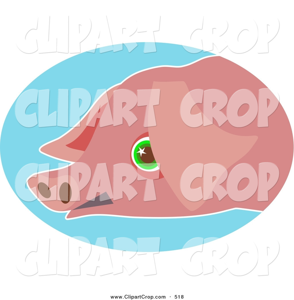     Art Of A Green Eyed Pink Pig Face Over Blue Circle On White By Prawny