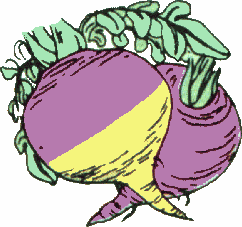 Arthur S Free Color Vegetable Clip Art Page 1