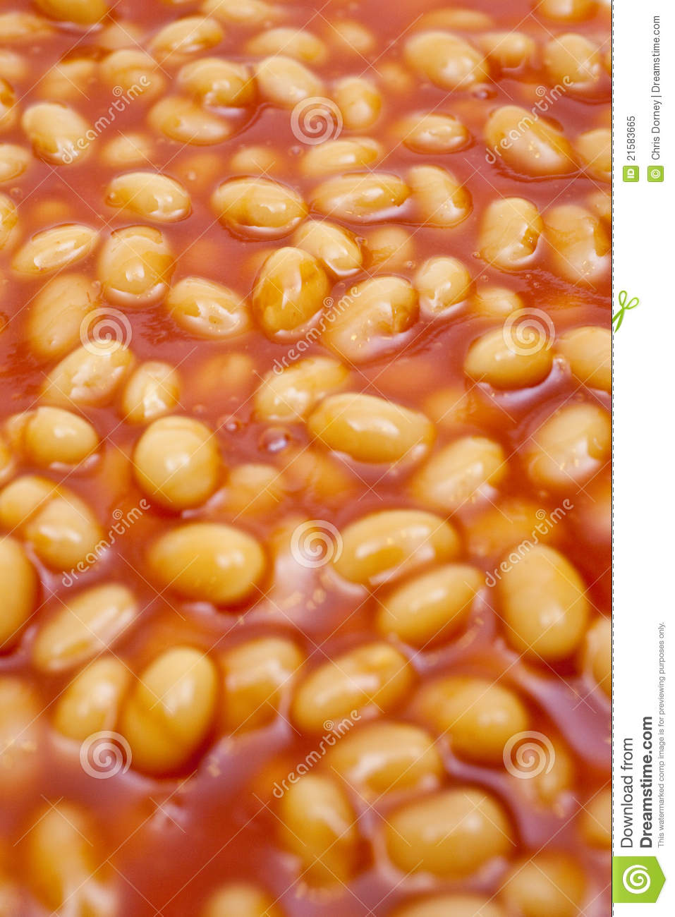 Baked Beans Royalty Free Stock Photo   Image  21583665
