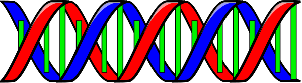 Double Helix Dna    Science Biology Double Helix Dna Png Html