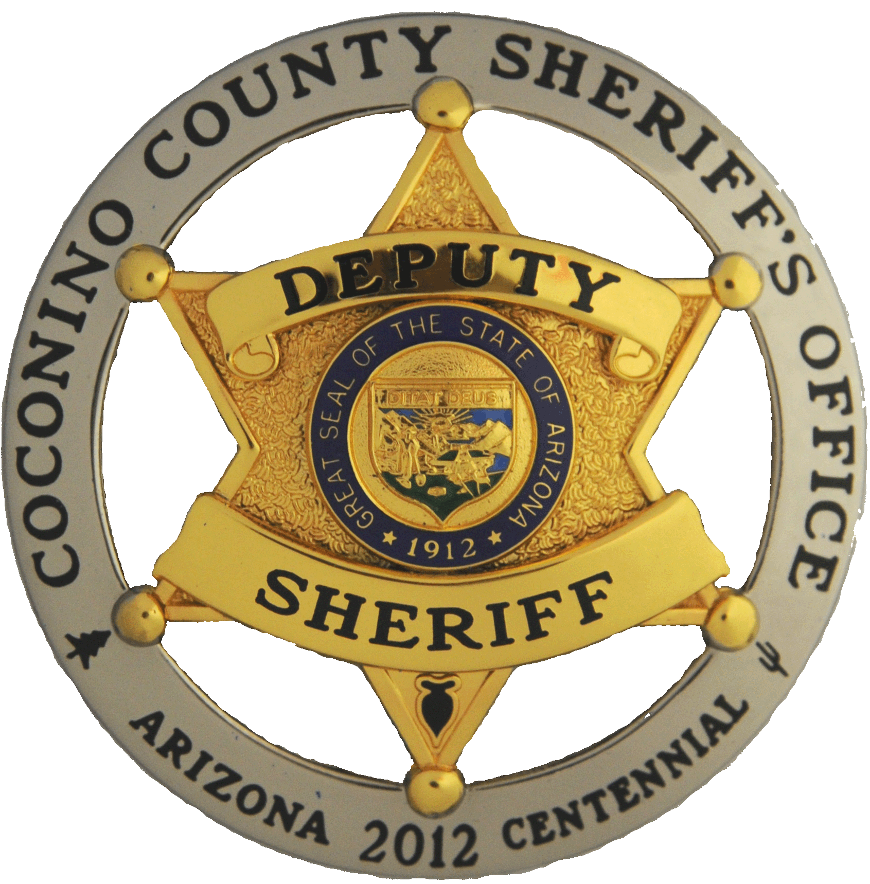 Harris County Sheriff Badge