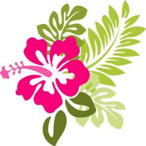 Royalty Free   Public Domain Floral Clipart Pink Hibiscus Hawaiian