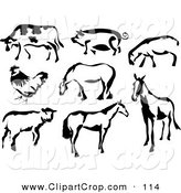     Sheep Chicken And Horses In Paintbrush Stroke Outline Style By Prawny