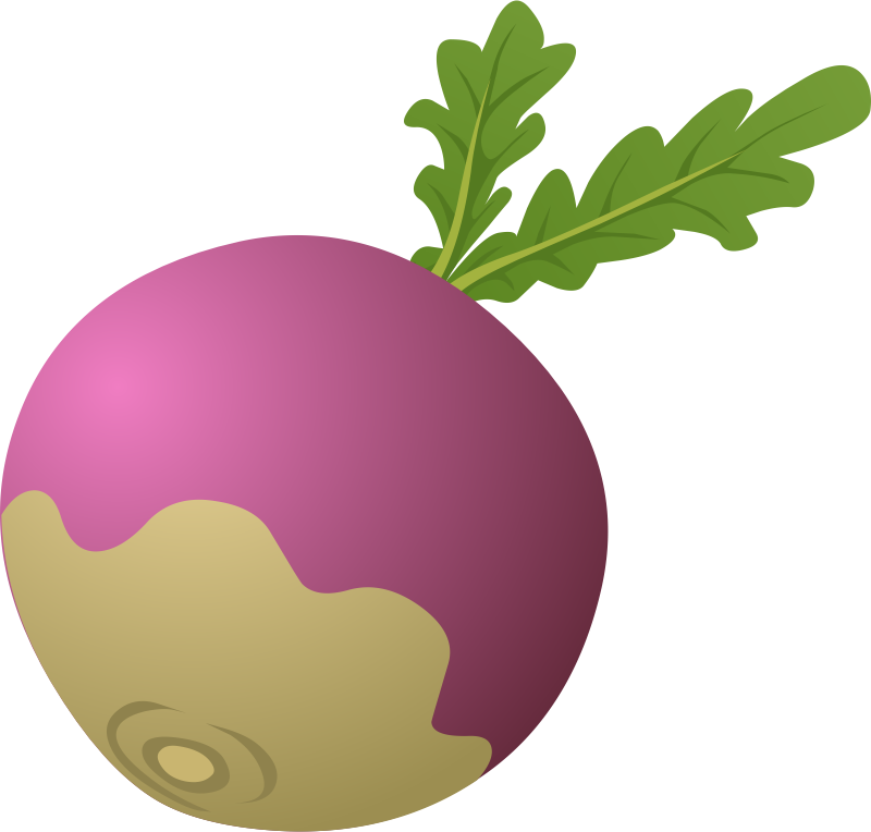Turnip Clip Art On Your Commercial Or Personal Projects This Clip Art