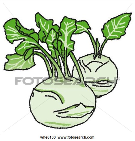 Turnip Clipart   Clipart Panda   Free Clipart Images