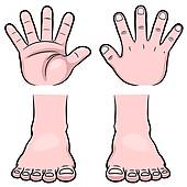 Feet Clipart And Illustrations