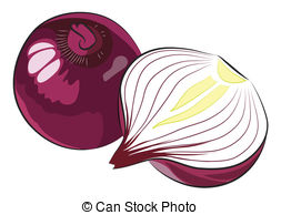 Onion Illustrations And Clipart  171518 Onion Royalty Free