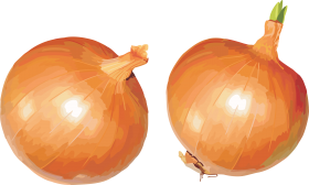 Png Image Resolution 2940x1642 Size 4383 Kb Red Onion Png Image Onion