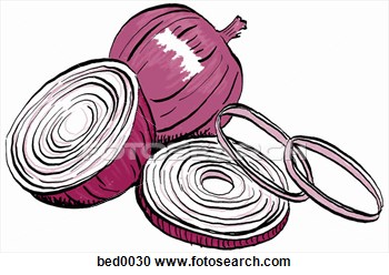 Red Onion View Large Illustration