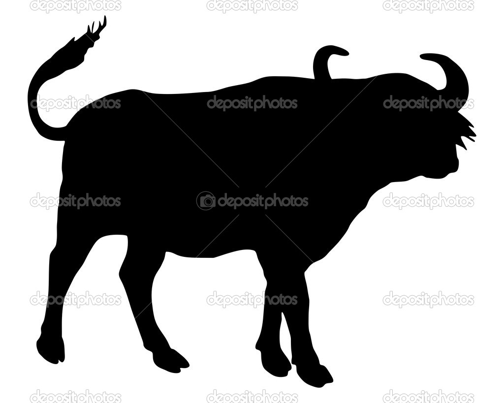 African Buffalo Silhouette   Stock Photo   Lantapix  4654113
