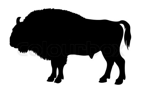 Bison Buffalo Silhouette Pictures
