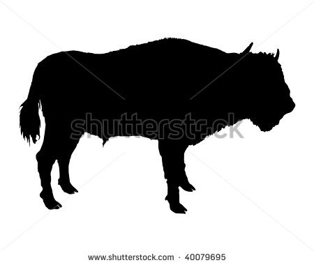 Buffalo Silhouette Stock Photos Images   Pictures   Shutterstock