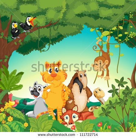 Download   Illustration Of A Forest Scene With Different Animals