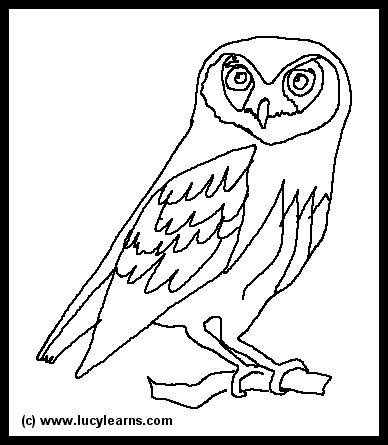 Elf Owl Pictures Desert Elf Owl Image Elf Owl Coloring Pages 2 Gif