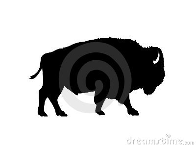     Native Bison Commonly Named After Bull Or Buffalo As Silhouette