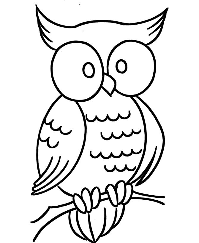 Owl Coloring Pages Owl Coloring Pages Owl Coloring Pages