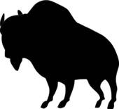 Silhouette Of African Buffalo
